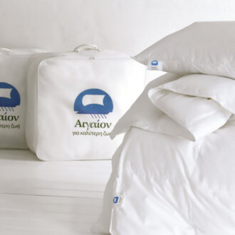 Brand Extension Brand Extension