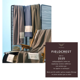 Brand Extension Brand Extension