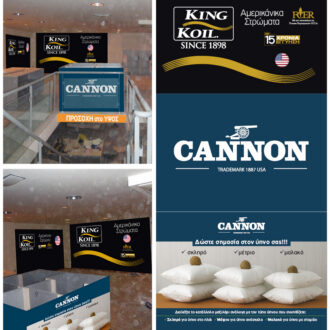 Brand Extension Brand Extension