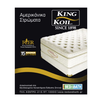 Brand Extension Brand Extension