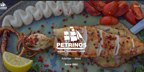 Website & Interaction