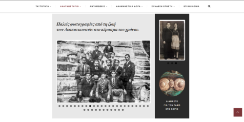 Website & Interaction