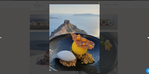 Website & Interaction