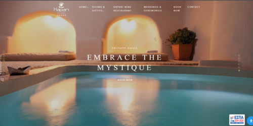 Website & Interaction