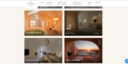 Website & Interaction