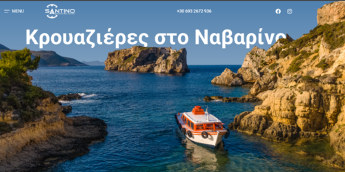 Website & Interaction
