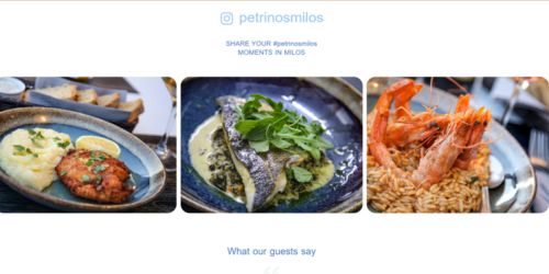 Website & Interaction